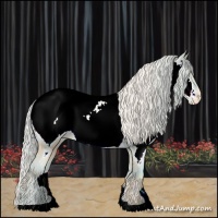 Horse Color:Gold Cream Champagne Pearl Appaloosa 