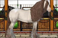 Horse Color:Amber Champagne Dun Varnish 