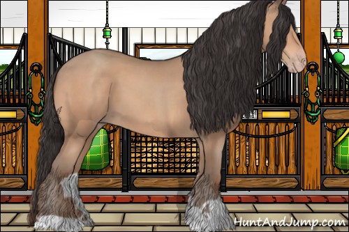 Horse Color:Amber Champagne 