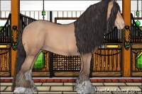 Horse Color:Amber Champagne