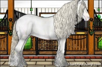 Horse Color:Gold Cream Champagne Ice Dun Tobiano Appaloosa 