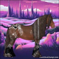 Horse Color:White Spotted Liver Chestnut Tobiano Blanket Rabicano 