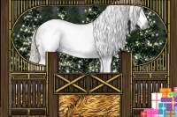 Horse Color:Gray Silver Buckskin Pearl Sabino Splash Tobiano Frame 