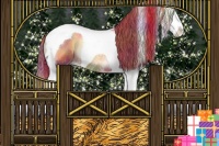 Horse Color:Nacre Buckskin Onyx Splash Tobiano Appaloosa Rabicano