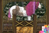 Horse Color:Painted Buckskin Ice Pearl Splash Tobiano Varnish 