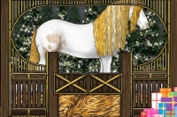 Horse Color:Painted Buckskin Snowdrop Sabino Splash Tobiano Blanket 