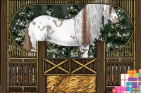 Horse Color:White Spotted Chestnut Ice Tobiano Frame Near Leopard 
