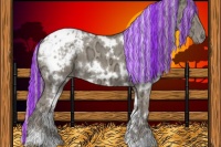 Horse Color:Painted Plaid  White Spotted Silver Grullo Ice Appaloosa 