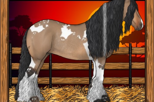 Horse Color:Bay Dun Tobiano Rabicano 