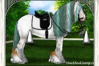 Horse Color:Painted White Spotted Classic Champagne Ice Dun Appaloosa Rabicano