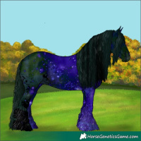 Horse Color:ERROR: UNKNOWN ANOMALY