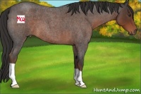 Horse Color:Liver Red Roan 