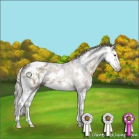 Horse Color:Silver Grullo Sabino Splash Rabicano