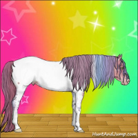 Horse Color:Watercolor Gold Champagne Tobiano Appaloosa Rabicano 