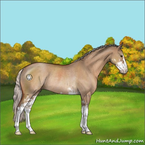 Horse Color:Silver Brown Dun Sabino Rabicano 