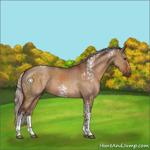 Horse Color:White Spotted Silver Brown Dun Sabino 