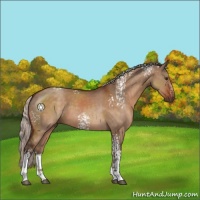 Horse Color:White Spotted Silver Brown Dun Sabino