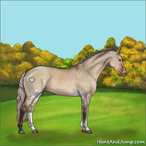 Horse Color:White Spotted Silver Brown Dun Sabino 