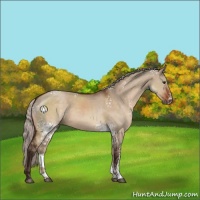 Horse Color:White Spotted Silver Brown Dun Sabino 