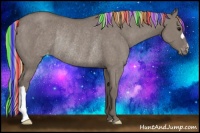 Horse Color:Painted Silver Grullo Varnish Rabicano