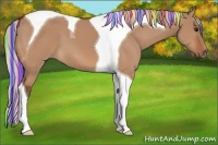 Horse Color:Painted Silver Bay Dun Tobiano 