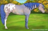 Horse Color:Watercolor Sable Champagne Roan Blanket Rabicano