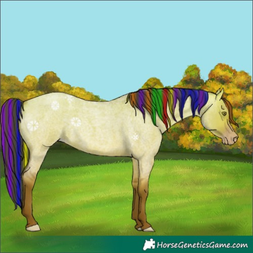 Horse Color:Painted Sable Champagne Roan Dun Rabicano 