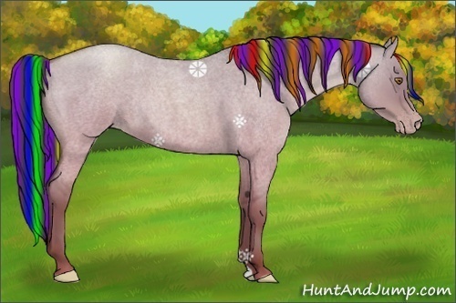 Horse Color:Painted Classic Champagne Roan Dun Rabicano