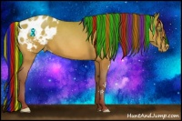 Horse Color:Painted Sable Champagne Roan Appaloosa Rabicano 
