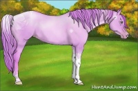 Horse Color:Watercolor Gold Champagne Dun Tobiano Rabicano