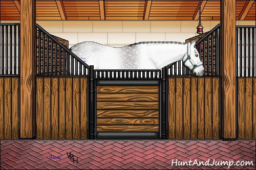 Horse Color:Gray Grullo 