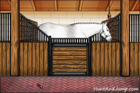 Horse Color:Gray Grullo 