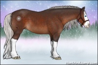 Horse Color:Silver Brown Splash 