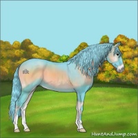 Horse Color:Watercolor Blue Onyx 