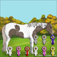 Horse Color:Silver Black Tobiano Appaloosa