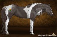 Horse Color:Liver Chestnut Tobiano 