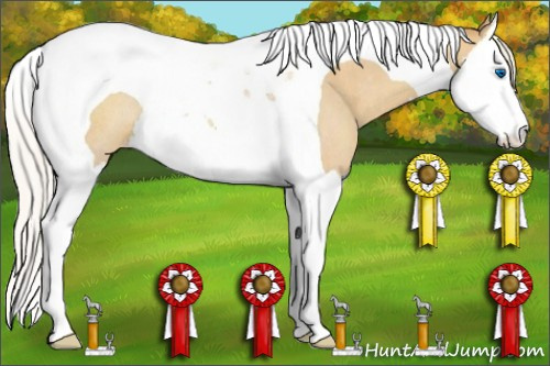 Horse Color:Silver Classic Cream Champagne Sabino Splash Tobiano Varnish Rabicano 