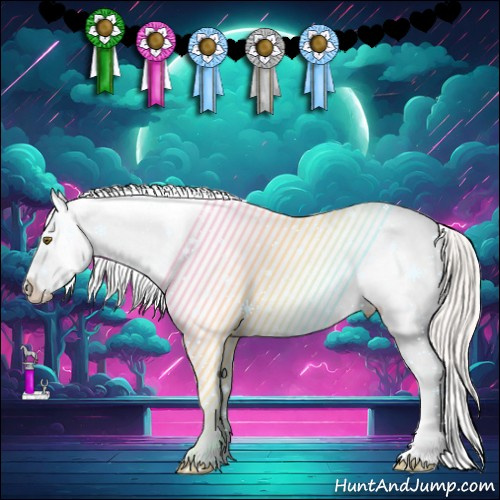 Horse Color:White Spotted Silver Bay Splash Appaloosa 