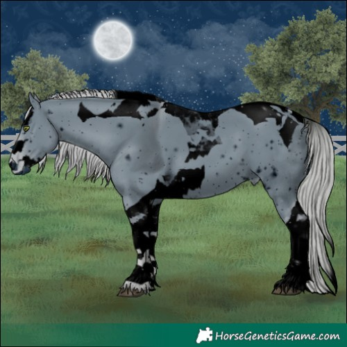 Horse Color:ERROR: UNKNOWN ANOMALY