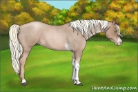 Horse Color:Liver Red Roan Pearl Tobiano Frame 
