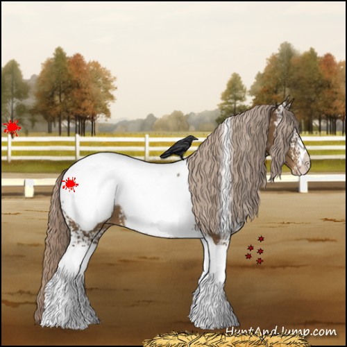 Horse Color:White Spotted Chocolate Palomino Tobiano Near Fewspot 