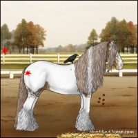Horse Color:White Spotted Chocolate Palomino Tobiano Near Fewspot 