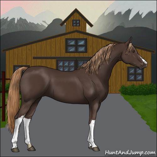 Horse Color:Liver Chestnut 
