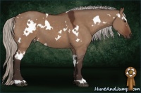 Horse Color:White Spotted Silver Bay Dun