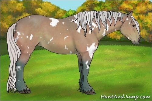 Horse Color:Watercolor White Spotted Silver Bay 