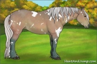 Horse Color:Watercolor White Spotted Silver Bay 