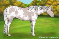 Horse Color:Watercolor White Spotted Silver Sable Champagne Dun 