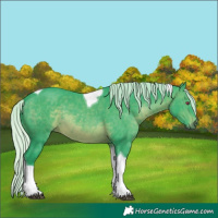 Horse Color:Watercolor Silver Brown Chinchilla Sabino Tobiano 