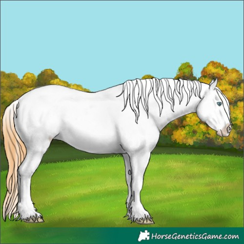 Horse Color:Sable Cream Champagne Sabino Appaloosa 