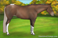 Horse Color:Gray Silver Black Pearl Tobiano 